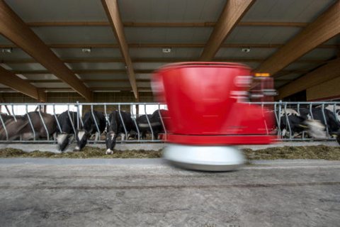 jm_001_Landwirtschaft_27-245.jpg